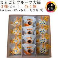 お中元 2026 一福百果 フルーツ大福3種セット（まるごとみかん大福・はっさく大福・あまなつ大福　各4個…