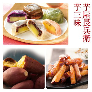 Ε q@O F{ȂcqEE_ RE} Mtg ̂Ή ~Mtg