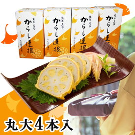 お中元 2026 熊本名産 からし蓮根　4本入り 高見商店 れんこん・レンコン ギフト のし対応可 夏ギフト 御中元