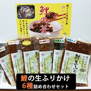 Ε Y ij̉؁@ӂ肩i6lj  RHi Mtg ̂Ή