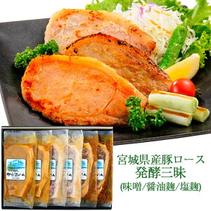 Ε {錧Y؃[X yOl@6iXЂEݖЂEЂ@3e2j I-207 ɓn ɓ_Y Mtg ̂Ή ~Mtg