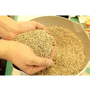 米麹の甘酒玄米もち麦入りあまざけ150g×12本セットギフトボックス【まろうど酒造】【年末年始29日〜1月13日まで日時指定不可】