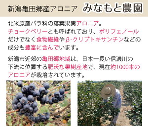 アロニア飲むお酢200ml×3本【みなもと】【新潟県産アロニア】【年末年始29日〜1月13日まで日時指定不可】
