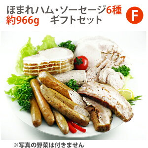 Ε ق܂nE\[Z[W6@966g(Mtg{bNX܂)@؃MtgZbgI VLeBG cnH[mt50c Mtg ̂Ή ~Mtg