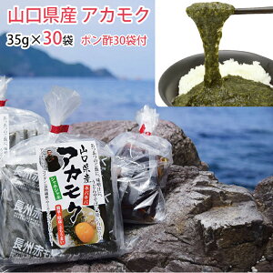 AJN RYu܂ɂAJNv35g×30pbNZbgiY@䂸||30ܕtj@ VFX AJNƃtRCc\YX
