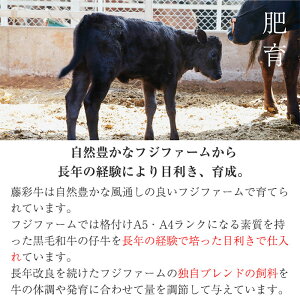 藤彩牛サーロインステーキ(200g×2枚)九州産黒毛和牛フジチク