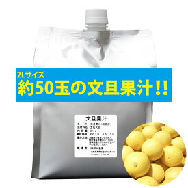 無添加100％文旦果汁 2kgパック ストレート 岡林農園