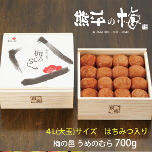 Ε F̔~ IBY썂~gp ~̗W ߂̂ނ(8 4LTCYiʁj ݂͂j700g ߂ڂ ~Hi Mtg ̂Ή ~Mtg