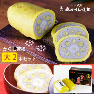 お歳暮 元祖 森からし蓮根 大 480g×2本入 レンコン れんこん 熊本名物 防腐剤不使用 NIPPON OMIYAGE AWARD 観光庁長官賞 森からし蓮根 ギフト のし対応可 冬ギフト