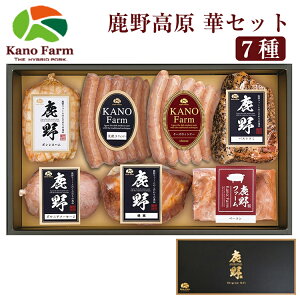 Ε n \[Z[W 썂 7 ؃Zbg YT-701i{Xn/e҂|[NECi[/`[YECi[/pXg~/{jA\[Z[W/ē/x[Rj t@[ l nC|