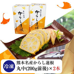お歳暮 熊本名産 からし蓮根 冷凍 2本入り 高見商店 のし対応 冬ギフト