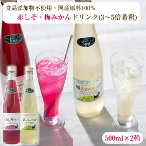 Y100gp Ԃ E ~݂ hNZbg 500ml×2 i3`5{߃^Cvj Fۓ Ԏh W[X