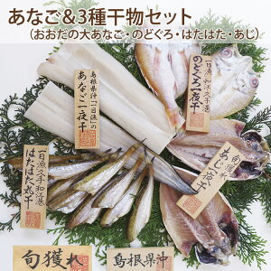 お歳暮 島根県沖 あなご (一夜干し)&3種の干物(のどぐろ・あじ・かます)詰合せセット 国産 島根産 無添加 岡富商店 -おかとみ- ギフト のし対応可 冬ギフト