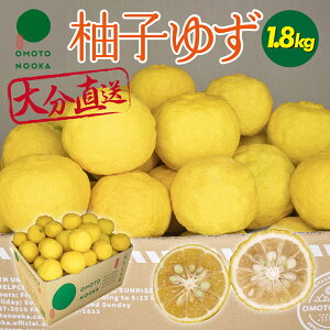 【送料無料】ゆず 標準 お徳用 訳あり 4kg 10kg 柚子 ユズ かんきつ 期間限定 柑橘 香酸柑橘 未来農林 大分県 宇佐市産 冬 鍋 柚子胡椒 ぽん酢 みそ汁 露地栽培 国産 農家 直送 すだち レモン ラ