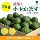 【送料無料】小玉 かぼす カボス 種無しかぼす 国産 大分 県 ジュース ハイボール 果汁 かんきつ 柑橘 ビール みそ汁 …