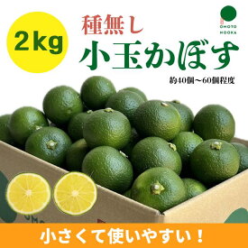 【送料無料】小玉 かぼす カボス 種無しかぼす 国産 大分 県 ジュース ハイボール 果汁 かんきつ 柑橘 ビール みそ汁 ぽん酢 すだち レモン ふるさと納税 お土産 贈り物 贈答用 農家 直送 特産品 露地栽培 おもとの丘 期間限定 宇佐市 クエン酸 ビタミン 大容量 2kg 4kg 10kg