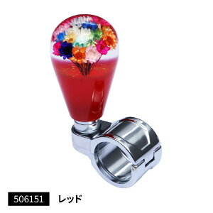 [J[ WFbgCmEG nhXsi[ bh  `ԑʃ^Cv 506151 Eԕis