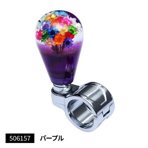 [J[ WFbgCmEG nhXsi[ p[v  `ԑʃ^Cv 506157 Eԕis