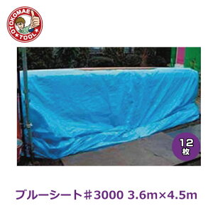 ���[�J�[�����E12���Z�b�g/�u���[�V�[�g��3000�@3.6m×4.5m