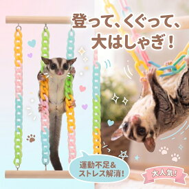 モモンガ おもちゃ チェーン 吊り下げ 遊具 フクロモモンガ 木 止まり木 小動物 ケージ 内装 ケージアクセサリー ブランコ フェレット インコ 鳥 小鳥 飼育用品 ペット用品 カラフル 取付け ネジ固定 遊び場