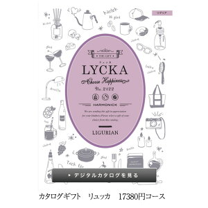 jcƁԗDǎ擾X J^OMtg LYCKA bJ OA 15800~R[X n[jbN j oYj ԂJ^O ei zA  oYLOi