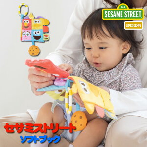 jcƁԗDǎ擾X oYj Sesami Street ZT~Xg[g \tgubN G NbL[X^[ \tggC Ԃ G{ ق  v[g j̎q ̎q Mtg