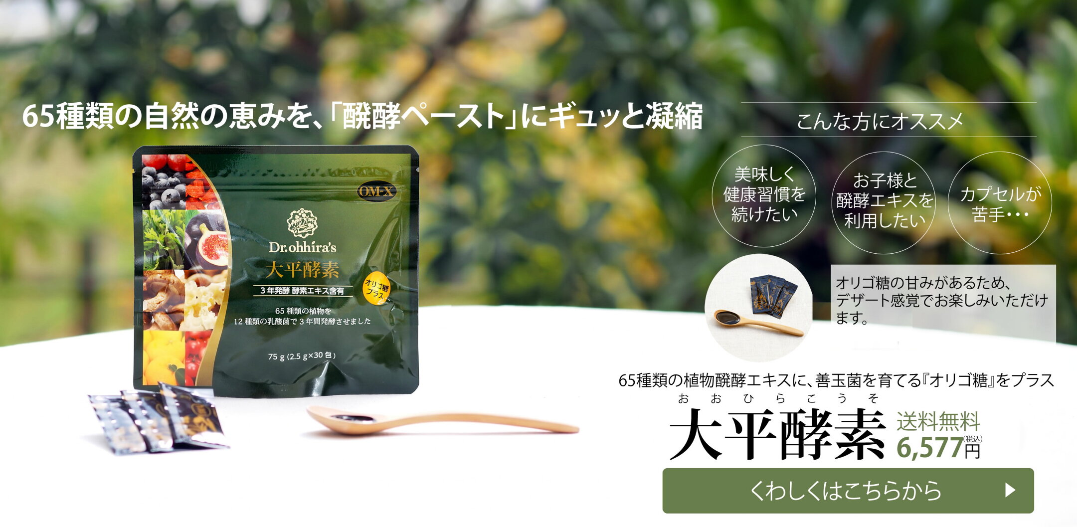 大平酵素 Dr.ohhira's ペーストタイプ 植物醗酵エキス