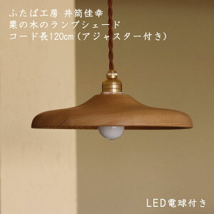 ӂ΍H[ 䓛K AWX^[tؐvVF[h24cm@R[h120cmLED{[dt I̖ ^J@R[h