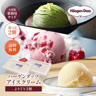 ハーゲンダッツ 業務用 2リットル よりどり 2個セット 送料無料｜アイス 業務用 大容量 選べる 2個 高級 …