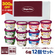 【300円OFFクーポン配布中・ギフト対応可】ハーゲンダッツ 詰め合わせ ハーゲンダッツミニカップセット H…