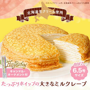 JXC[c 傫ȃ~N[v MC46 | ~N[v z[ 傫 BIGTCY 6.5 Ⓚ aP[L a N[ N[Ղ  yY p[eB[ Lht 