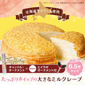 yqCMI[igtzJXC[c 傫ȃ~N[v MC46 | ~N[v z[ 傫 BIGTCY 6.5 Ⓚ aP[L a N[Ղ  yY p[eB[ 