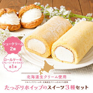 JXC[c ՂzCbṽXC[c3Zbg RC31 | 傫 N[Ղ 喞 [P[L V[N[ XC[c lߍ킹 P[L a LP[L V[N