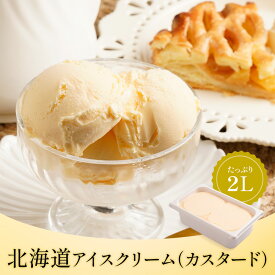 送料無料 タカナシ 北海道カスタードアイスクリーム 2リットル | タカナシ乳業 アイスクリーム業務用 アイス シャーベット カスタードアイスクリーム バニラアイス カスタードアイス アイス業務用 ジェラート 2l おやつ 2000ml デザート スイーツ