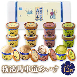 【ギフト対応無料】アイス 詰め合わせ タカナシ 横濱馬車道あいす12個 TB46 | アイスクリーム ギフト 詰め合わせ カップアイス プレゼント アイスミルク アイスギフト スイーツ 手土産 お歳暮