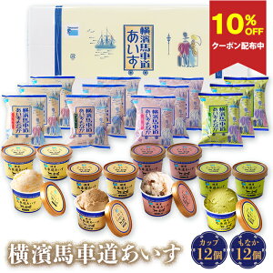 yN[|zzEMtgΉzACX lߍ킹 Mtg ^JiV _nԓ v24(Jbv12AȂ12)TBW58 | ACX ACXN[ lߍ킹 v[g ACX~N