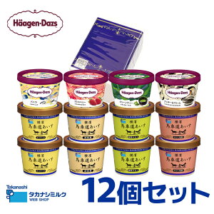 【ギフト対応無料】ハーゲンダッツ・横濱馬車道あいす12個セットHT34|送料無料 ハーゲンダッツ カップ アイス アイスクリーム カップアイス スイーツ 詰め合わせ バニラ ストロベリー 抹茶
