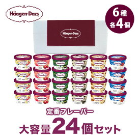 ハーゲンダッツ大容量24個セット HD24｜送料無料 カップ アイス アイスクリーム カップアイス スイーツ 定番 フレーバー 詰め合わせ バニラ ストロベリー グリーンティー クッキー＆クリーム マカデミア チョコ ギフト のし 熨斗 ミニカップ 御中元 お中元 中元 夏ギフト