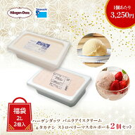 ハーゲンダッツ 業務用バニラアイスクリーム・タカナシ業務用ストロベリーマスカルポーネ2個セット | 福…