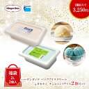 【福袋2026】 ハーゲンダッツ 業務用バニラアイスクリーム・タカナシ業務用チョコミント 2個セット | 福袋 2026年 ス…