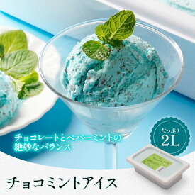 チョコミントアイス タカナシ チョコミント2リットル | チョコミント アイス アイスクリーム 業務用 タカナシ乳業 タカナシミルク シャーベ チョコミントアイス ミントアイス チョコレートアイス アイス業務用 ジェラート 2l おやつ 2000ml デザート スイーツ