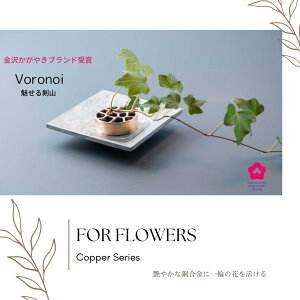  v[g 蕨 LO Ĥ悤ȍ A~̃Ay^CU[v[gH CeAe[uR[fBl[g