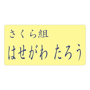  w N[|p @Ή OACV[ TCY̑ ̑ [bP OV[ NX vg @  ACp 2 ۈ牀 ct wZ  