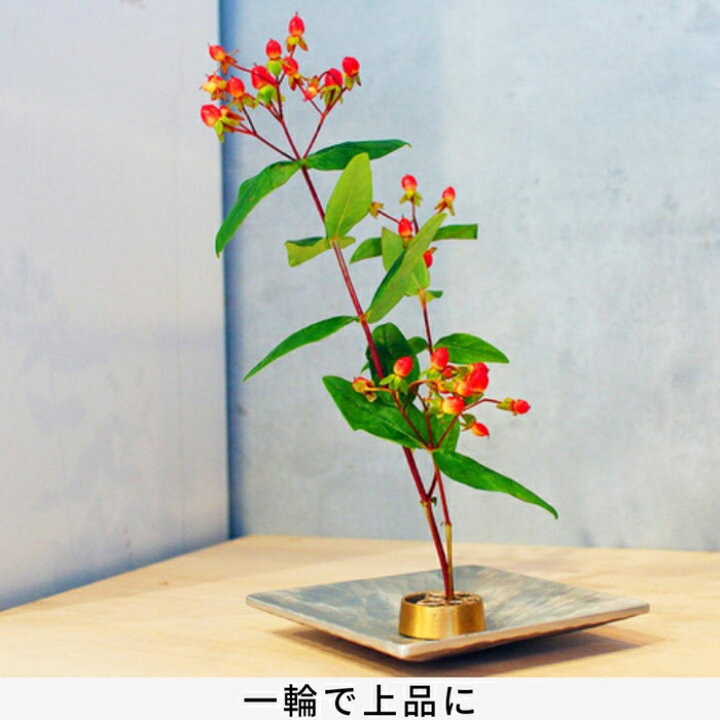 楽天市場】針のない剣山 ® 高品質 魅せるKAMAHACHIのフラワーシリーズ 