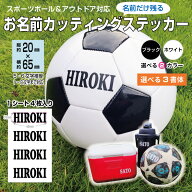 お名前カッティングステッカー【スポーツボール＆アウトドア対応】20mm×65mm 1シート4枚入り 推奨文字数…