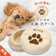 犬 乳歯 爪 ケース 名入れ【 ワンコの乳歯・爪 ケース 】プレゼント ギフト 犬好き 愛犬 グッズ 雑貨 桐…