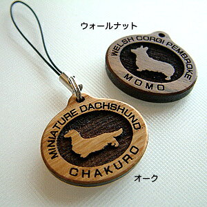 Dւ̃v[gɍœKB hbOVGbg̖ؐXgbv؂̂ʂ肪@ؐXgbv a җj  j y5cƓoׁz