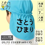 お名前シール 大きめ 防水 布 ゼッケンシール アイロンプリント 名前 【 ぴたプリ でか文字 A4サイズ 】 …
