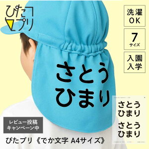 OV[ h z  ̑  [bP ACvg V[g y ҂v ł A4TCY z wZ w Ȃ܂V[ ACV[ l[V[ 傫 Xq t