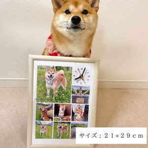 y@ybg@ʐ^@ybgObY@ʔv@ybg AObYzʐ^莞v@Ov.com A4^ Vv^fUC ꎞv@Mtg@uv@ʐ^I[